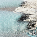Netting the Sea